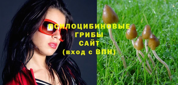 mdma Верхний Тагил