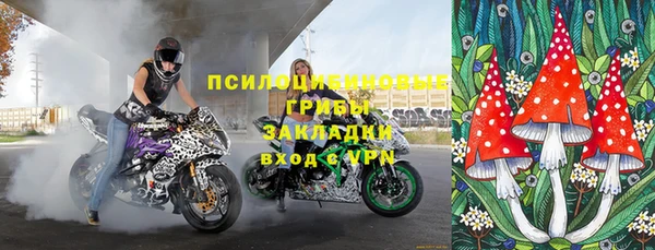 прущий лед Бородино