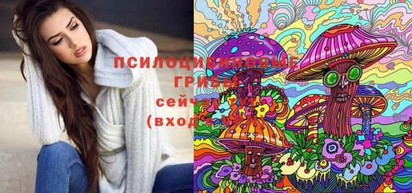 a pvp Верея