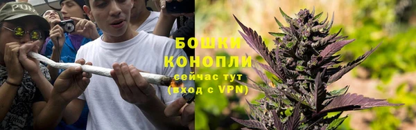 прущий лед Бородино