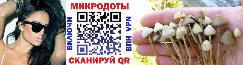 blacksprut ССЫЛКА  Пестово  Галлюциногенные грибы Magic Shrooms 